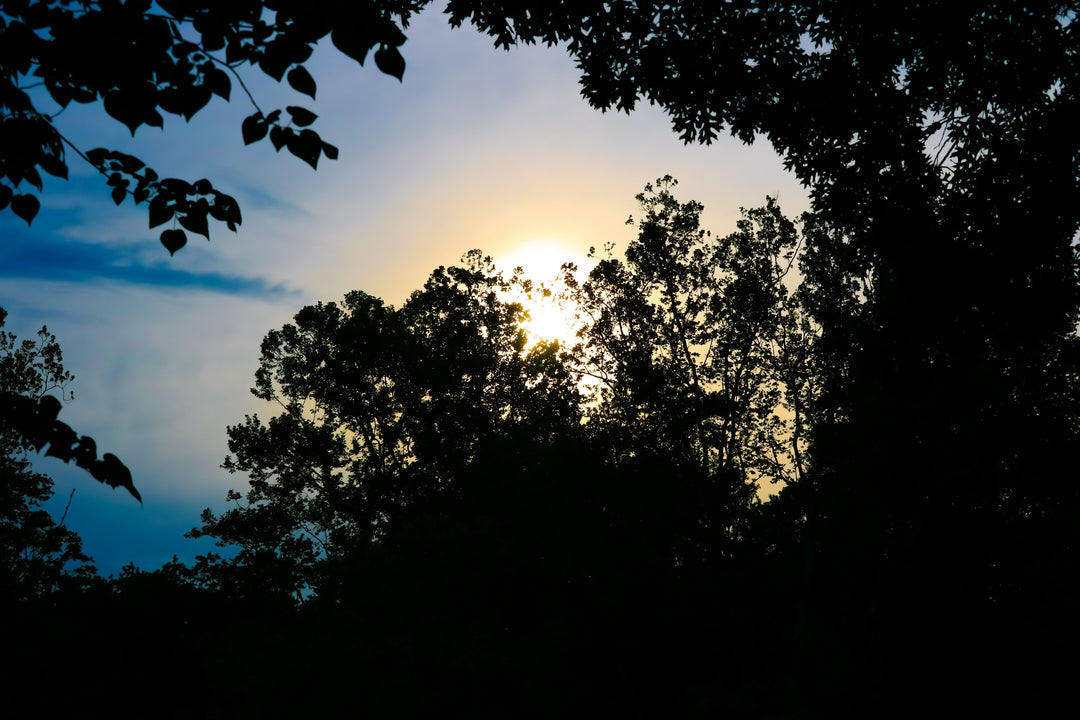 Where Story Meets Spirit: A Soul-First Invitation
